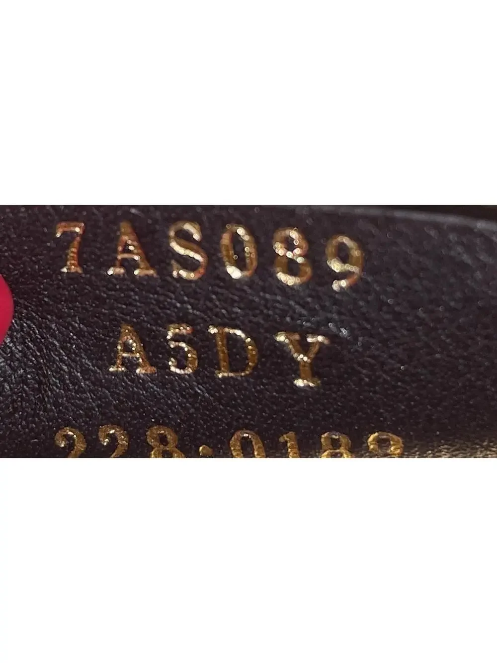 Fendigraphy Bag Leather Nano #293237F13B